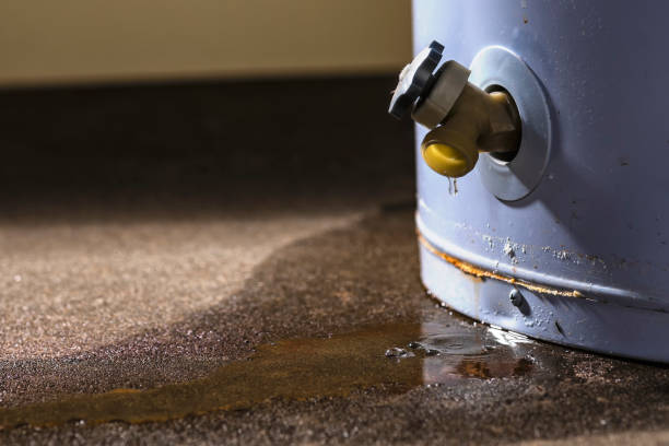 Best Residential water damage restoration  in Greensboro, GA