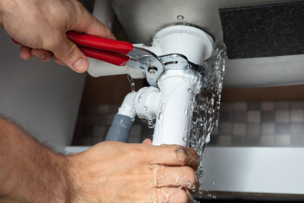 Best Carpet water damage restoration  in Greensboro, GA