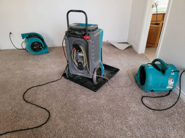 Best Ceiling water damage repair  in Greensboro, GA