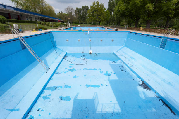 Best Water damage cleanup near me  in Greensboro, GA
