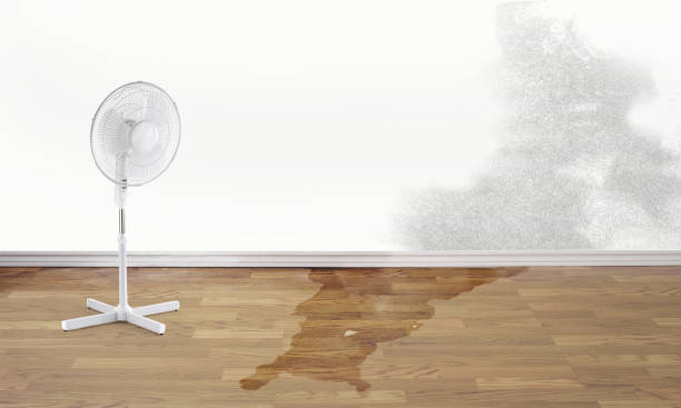  Greensboro, GA Water damage restoration Pros