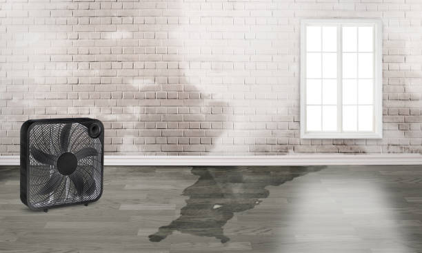 Best Emergency water damage restoration  in Greensboro, GA