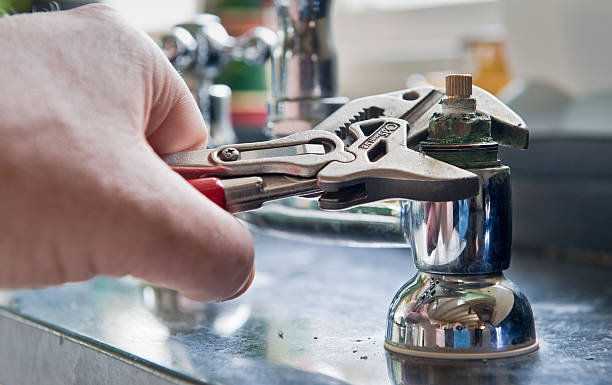Best Flood damage cleanup  in Greensboro, GA