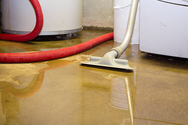 Sewage cleanup and water damage restoration in Greensboro, GA