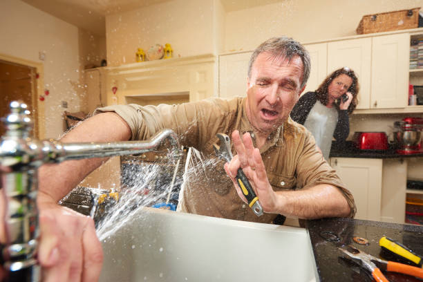 Best Fire Damage Restoration  in Greensboro, GA
